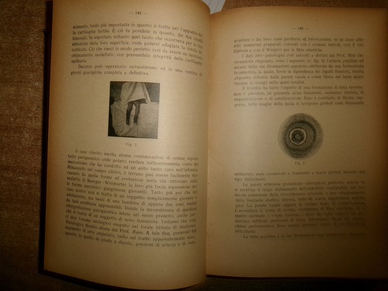 (Parma) L' Ateneo Parmense 1950 con ex libris Domenico Campanacci