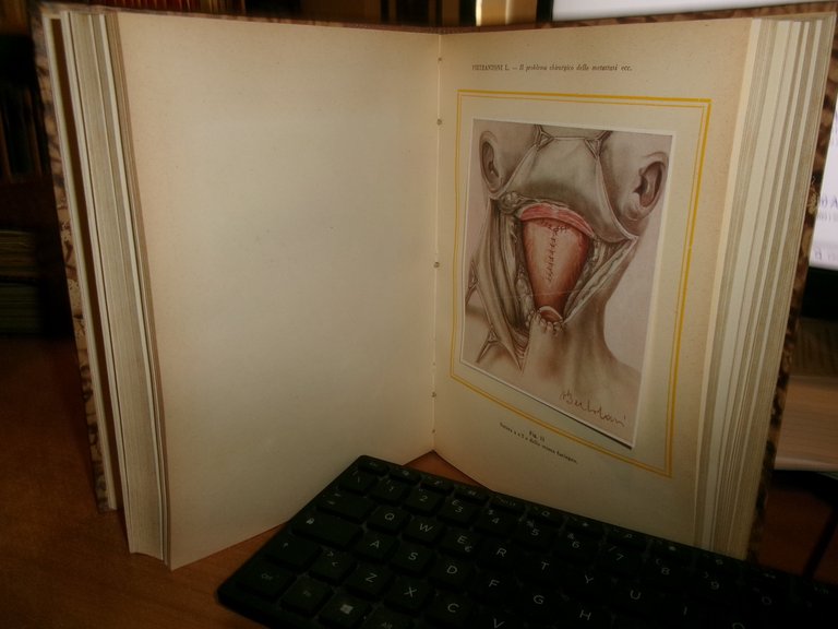 (PARMA) L' Ateneo parmense 1952. Scritti Medici in onore di …