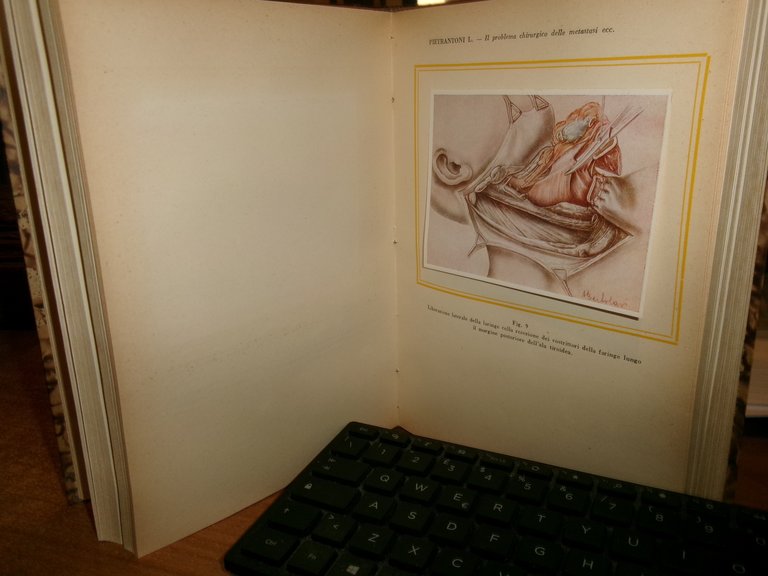 (PARMA) L' Ateneo parmense 1952. Scritti Medici in onore di …