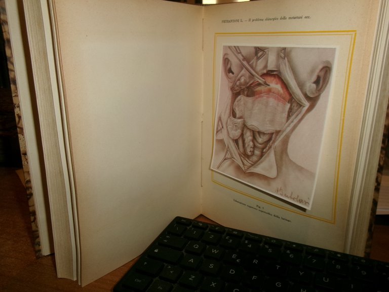 (PARMA) L' Ateneo parmense 1952. Scritti Medici in onore di …