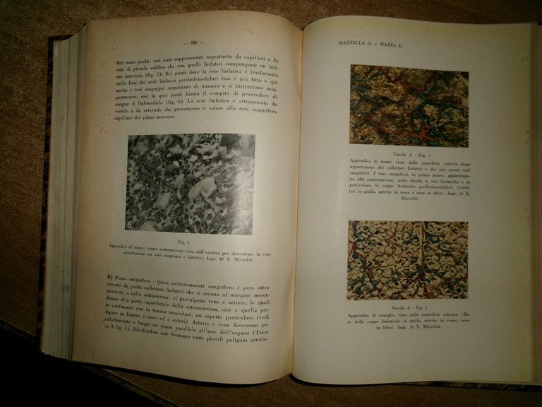 (PARMA) L' Ateneo Parmense 1954 con ex libris Domenico Campanacci