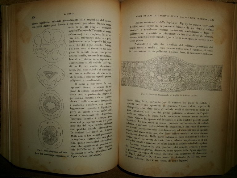 (Parma) L' ATENEO PARMENSE Direttore Domenico Campanacci volume XI - …
