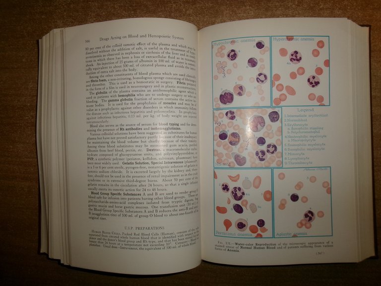 PHARMACOLOGY AND THERAPEUTICS... ARTHUR GROLLMAN 1962
