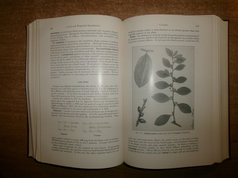 PHARMACOLOGY AND THERAPEUTICS... ARTHUR GROLLMAN 1962