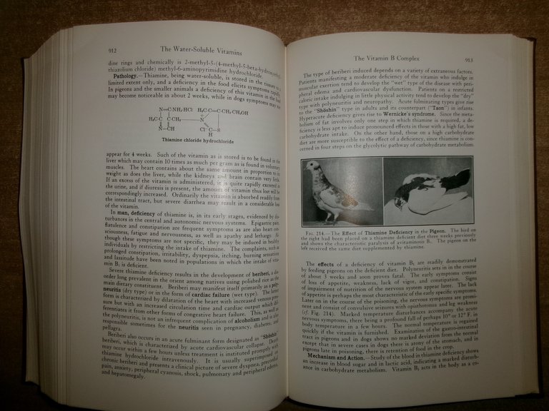 PHARMACOLOGY AND THERAPEUTICS... ARTHUR GROLLMAN 1962