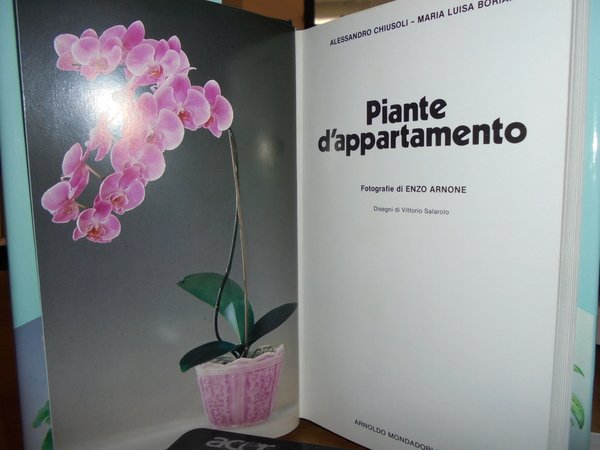 PIANTE d' Appartamento