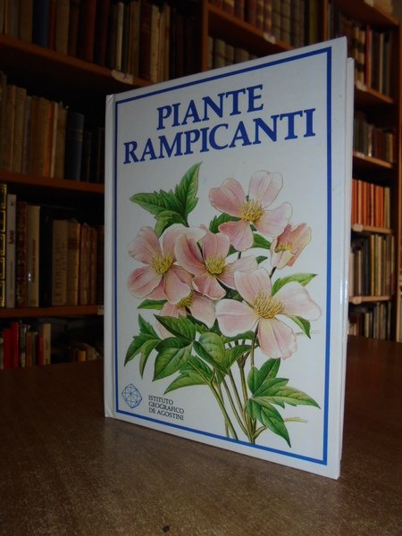 Piante rampicanti