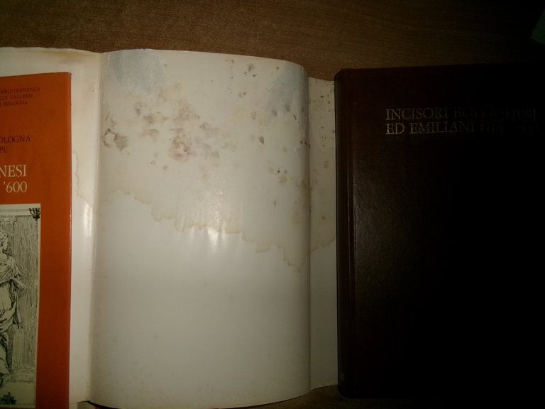 Pinacoteca Nazionale di Bologna.Incisori bolognesi ed emiliani del '500-'600-700