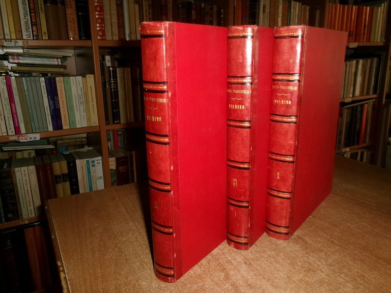 PIO NONO E IL SUO TEMPO