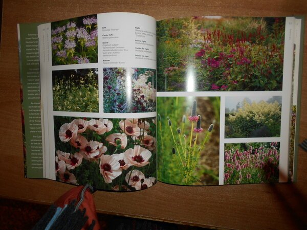 PLANTING the NATURAL GARDEN