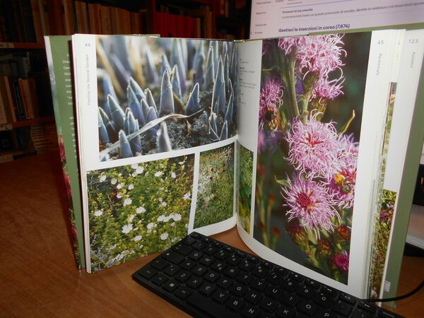 PLANTING the NATURAL GARDEN