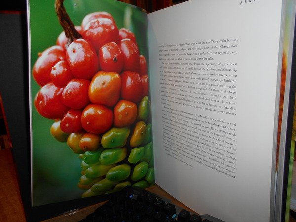 PLANTWORLDS. Photographs by ANDREA JONES