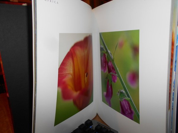 PLANTWORLDS. Photographs by ANDREA JONES