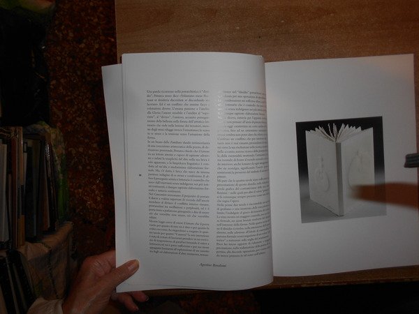 Poiêin: libri d'artista