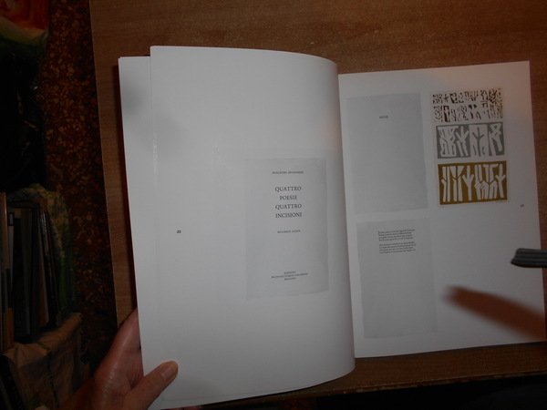 Poiêin: libri d'artista