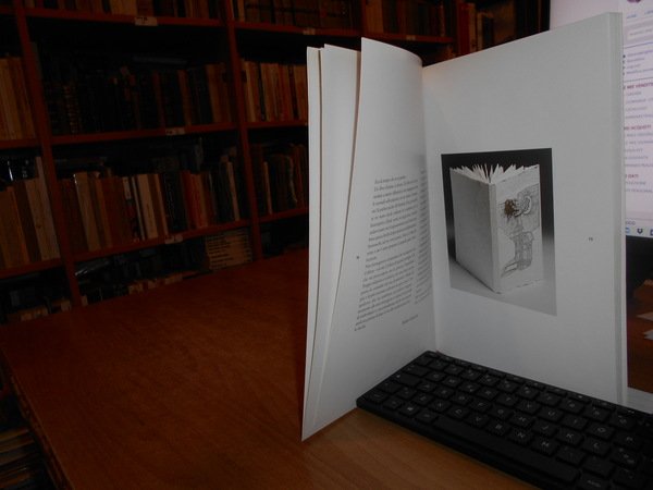 Poiêin: libri d'artista