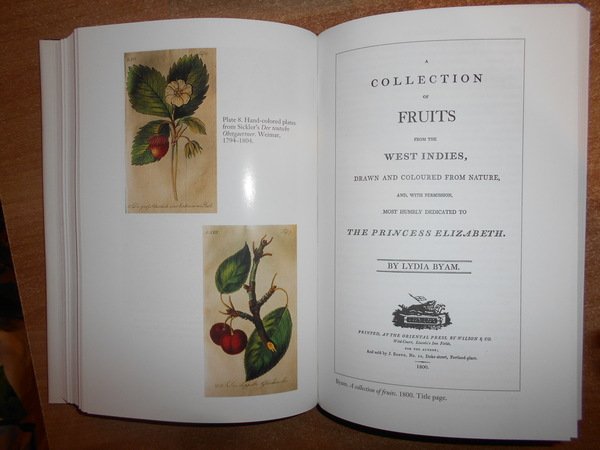 POMONA'S HARVEST an illustrated Chronicle of Antiquarian Fruit Literature