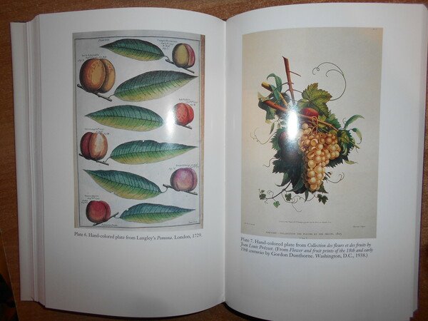 POMONA'S HARVEST an illustrated Chronicle of Antiquarian Fruit Literature