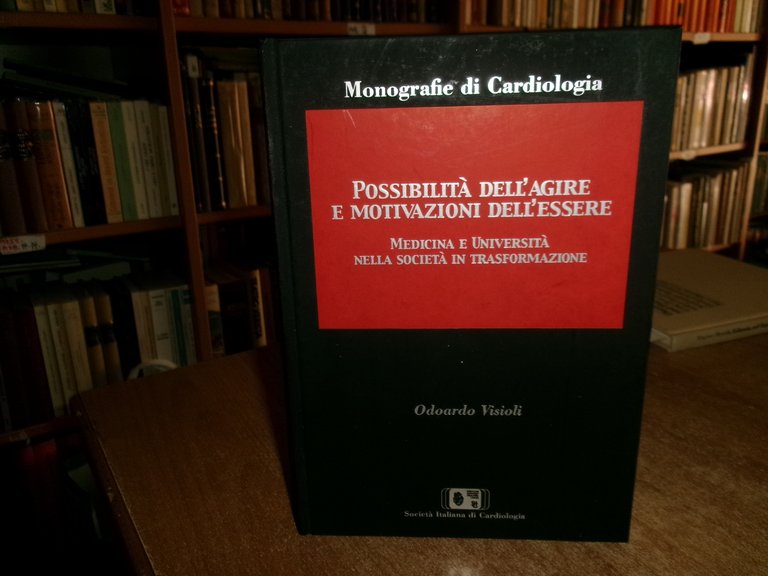 Possibilità dell'agire e motivazioni dell'essere... ODOARDO VISIOLI 2008