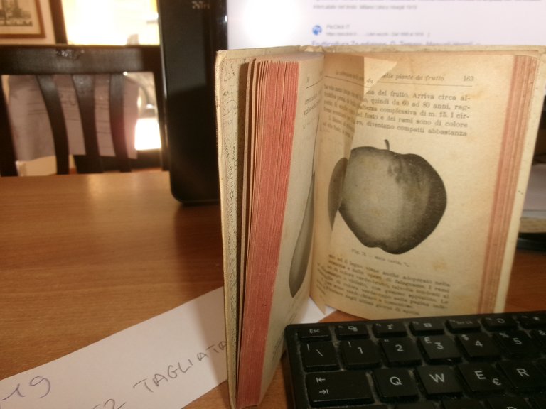 Prof. D. TAMARO. FRUTTICOLTURA settima edizione Hoepli, 1919