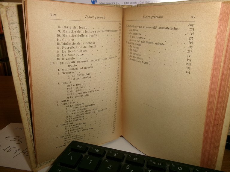 Prof. D. TAMARO. FRUTTICOLTURA settima edizione Hoepli, 1919