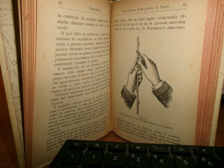 Prof. D. TAMARO. FRUTTICOLTURA settima edizione Hoepli, 1919