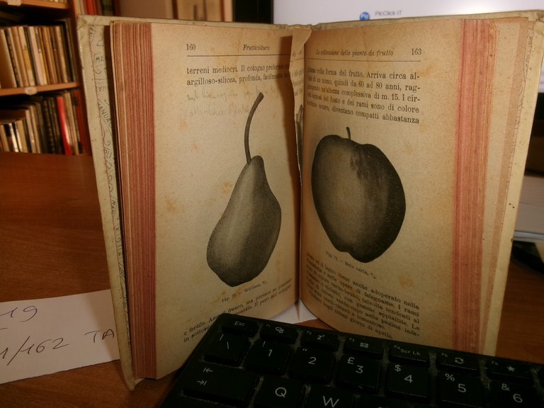 Prof. D. TAMARO. FRUTTICOLTURA settima edizione Hoepli, 1919