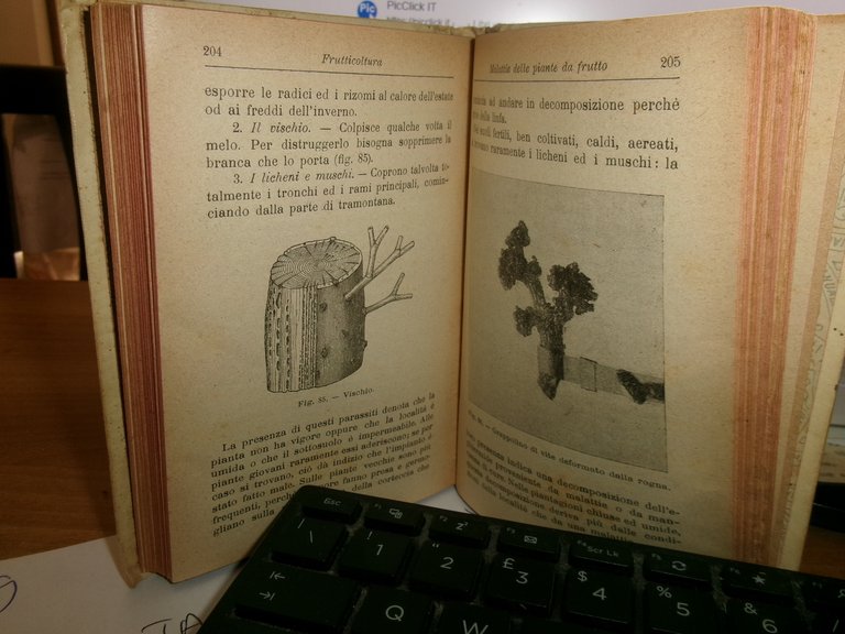 Prof. D. TAMARO. FRUTTICOLTURA settima edizione Hoepli, 1919