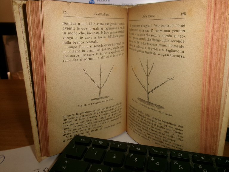 Prof. D. TAMARO. FRUTTICOLTURA settima edizione Hoepli, 1919