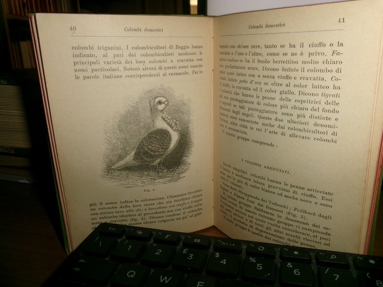 Prof. P. BONIZZI. COLOMBI DOMESTICI e LA COLOMBICULTURA HOEPLI 1902