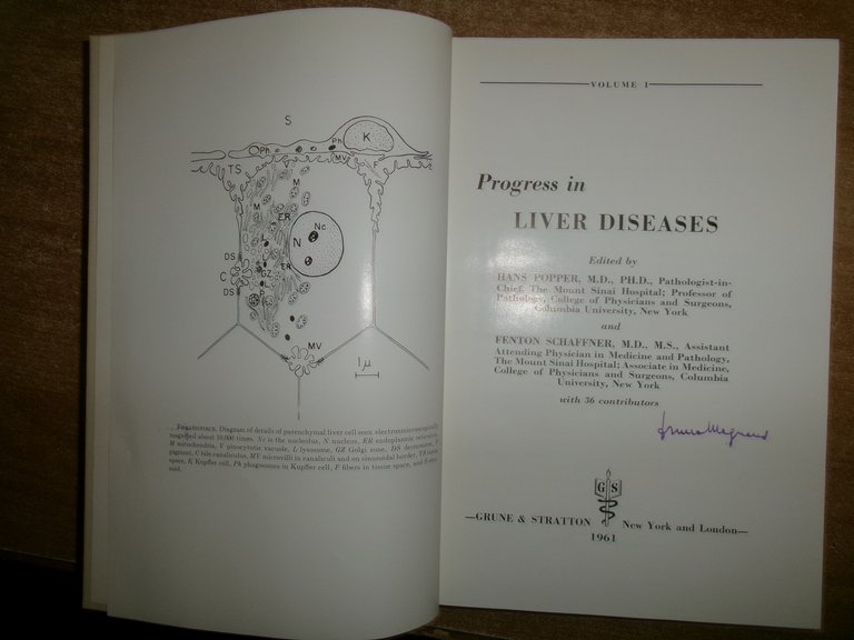 Progress in LIVER DISEASES volume I. HANS POPPER e FENTON …