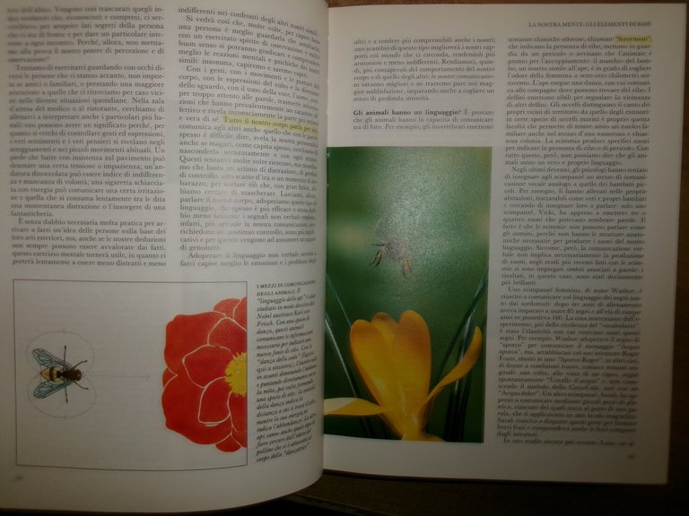 Psicologia e vita. COME CONOSCERE SE STESSI E GLI ALTRI …