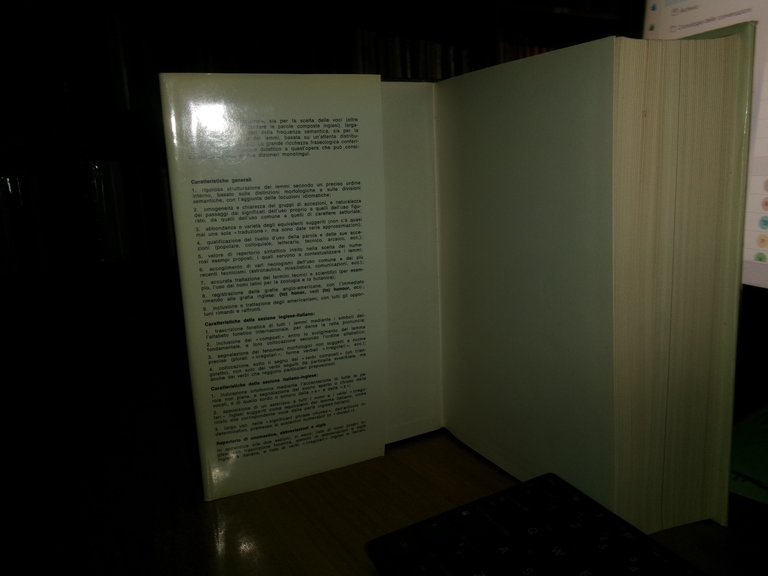 RAGAZZINI. Dizionario inglese italiano - italiano inglese Zanichelli