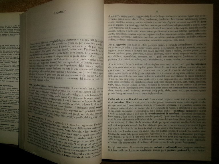 RAGAZZINI. Dizionario inglese italiano - italiano inglese Zanichelli