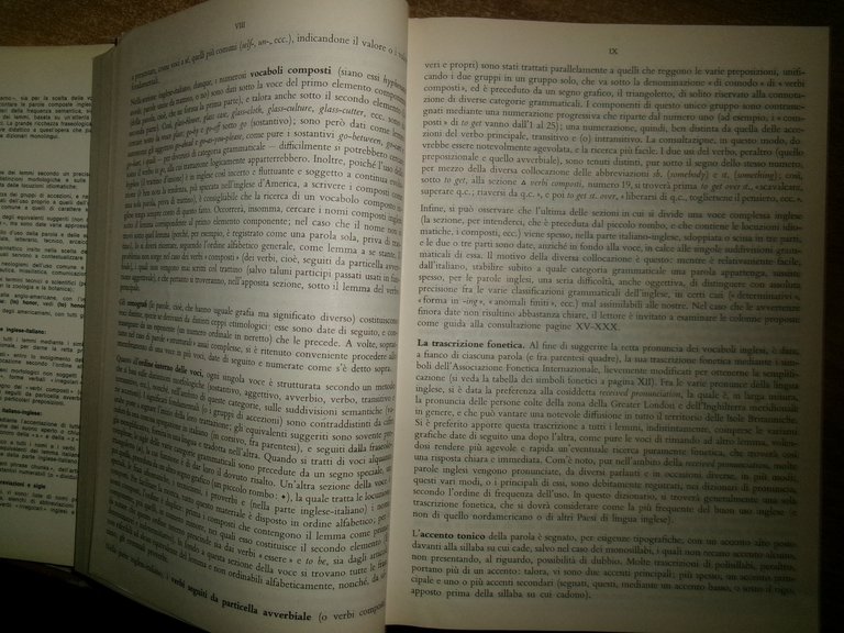 RAGAZZINI. Dizionario inglese italiano - italiano inglese Zanichelli