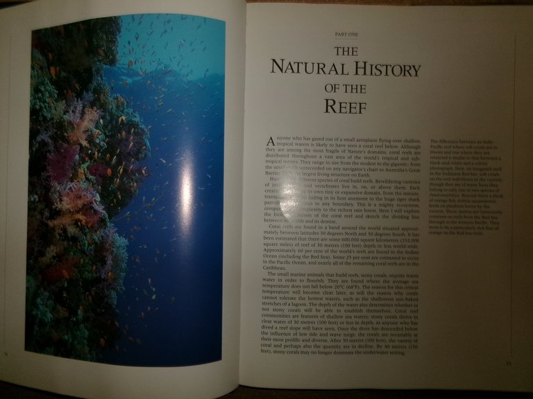 REEF A Safari Through the Coral World. JEREMY STAFFORD-DEITSCH 1991