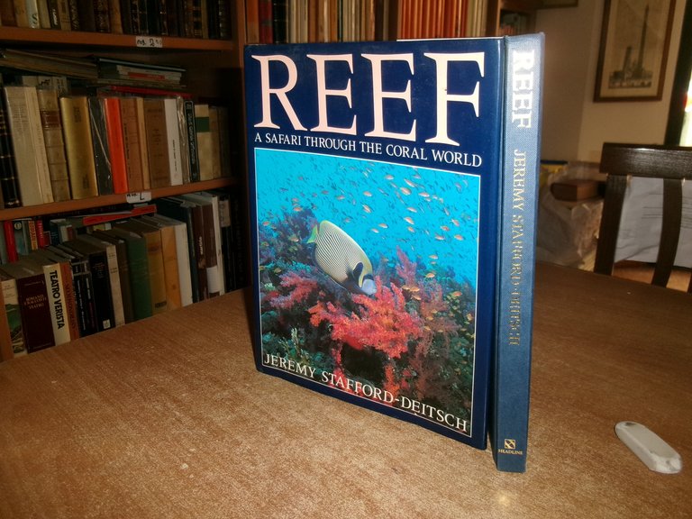 REEF A Safari Through the Coral World. JEREMY STAFFORD-DEITSCH 1991