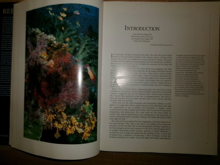 REEF A Safari Through the Coral World. JEREMY STAFFORD-DEITSCH 1991