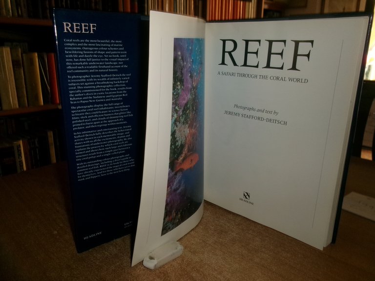 REEF A Safari Through the Coral World. JEREMY STAFFORD-DEITSCH 1991