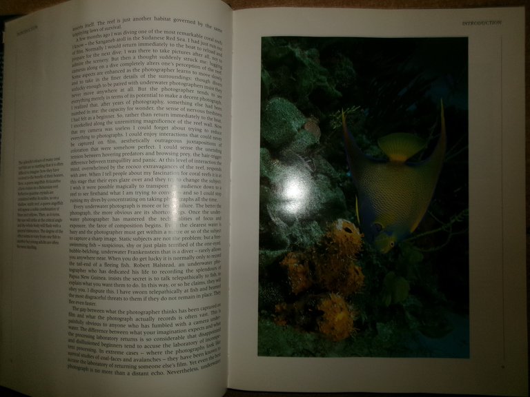 REEF A Safari Through the Coral World. JEREMY STAFFORD-DEITSCH 1991