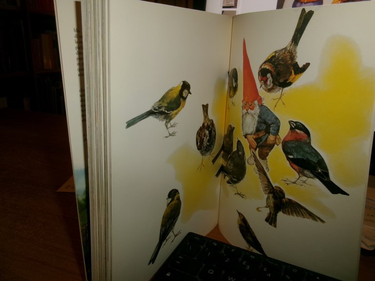 Rien Poortvliet, Wil Huygen. GNOMI 1986