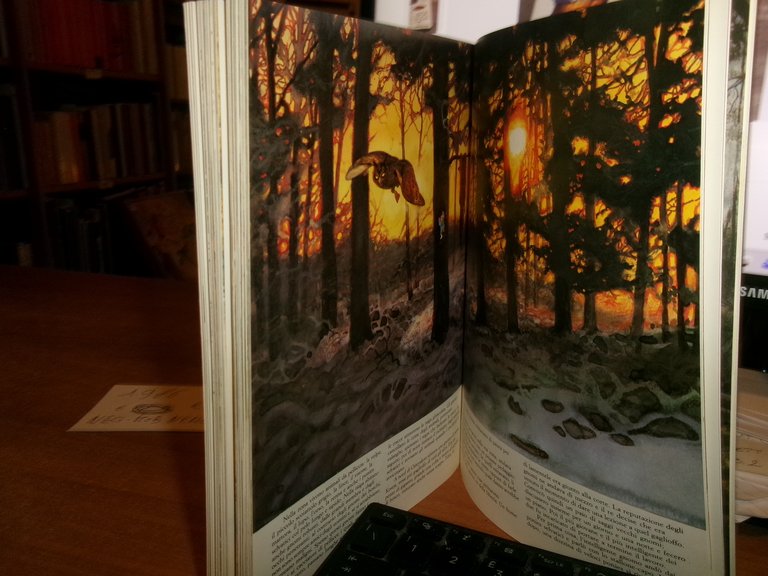 Rien Poortvliet, Wil Huygen. GNOMI 1986