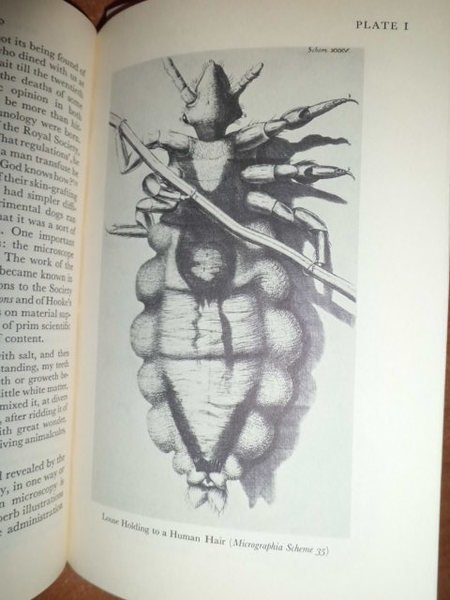 ROBERT HOOKE by Margaret ' ESPINASSE