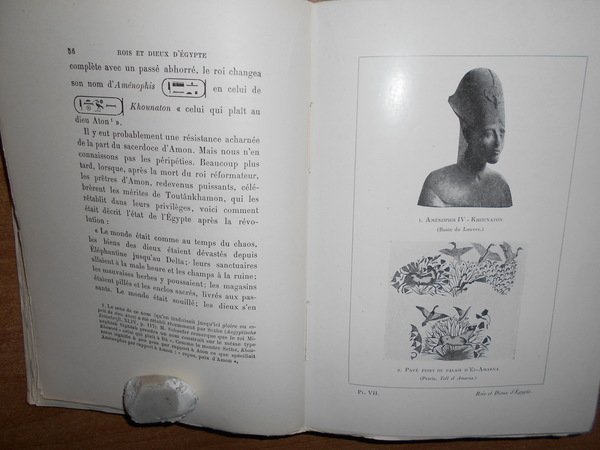 Rois et Dieux d' Egypte
