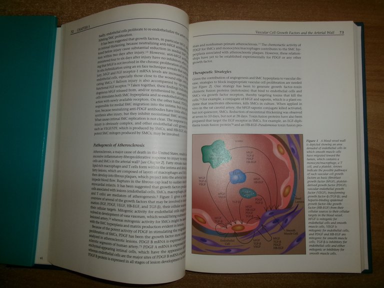 Scientific American. Molecular Cardiovascular Medicine. EDGAR HABER 1995