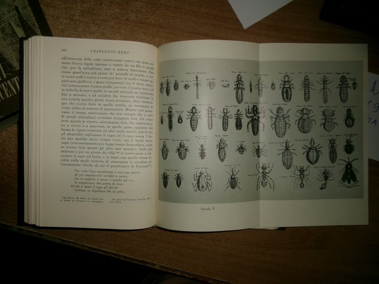 SCIENZIATI DEL SEICENTO. A cura di Maria Luisa Altieri Biagi …