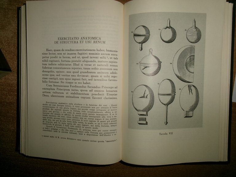 SCIENZIATI DEL SEICENTO. A cura di Maria Luisa Altieri Biagi …