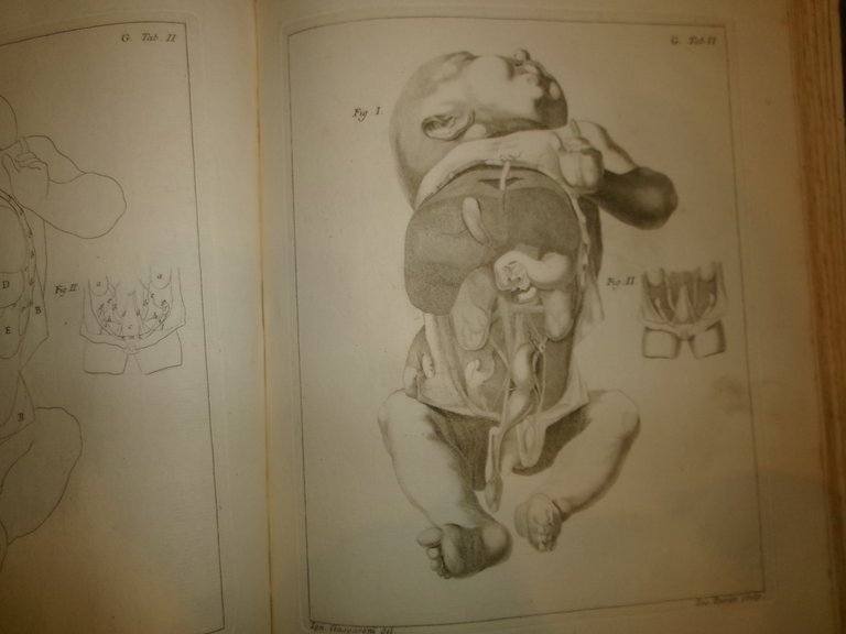 SEPTEMDECIM TABULAE QUAS NUNC PRIMUN EDIT ATQUE EXPLICAT, IISQUE ALIAS … | Immagine Gallery 4