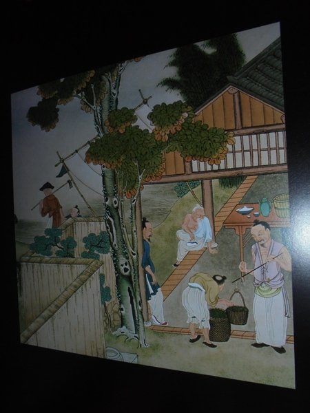 SETA SILK SOIE