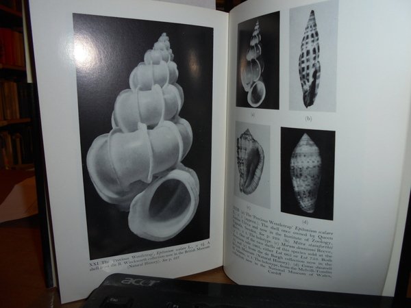 SHELL COLLECTING. An Illustrated History